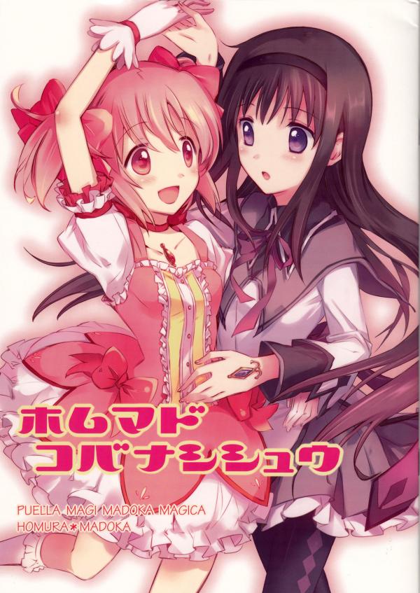 Mahou Shoujo Madoka★Magica - HomuMado Kobanashi Shuu (Doujinshi)