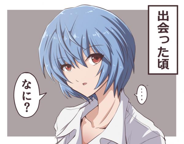 Neon Genesis Evangelion - Ayanami Observation Diary (Doujinshi)